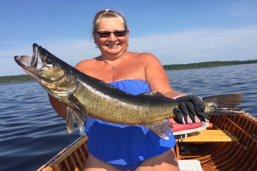 Walleye Fishing, Nagagami Lake, Northern Ontario, Canada